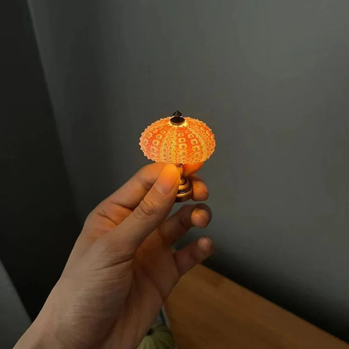 LumiCraft – Unikalna lampa stołowa DIY z naturalną muszlą dla przytulnej atmosfery