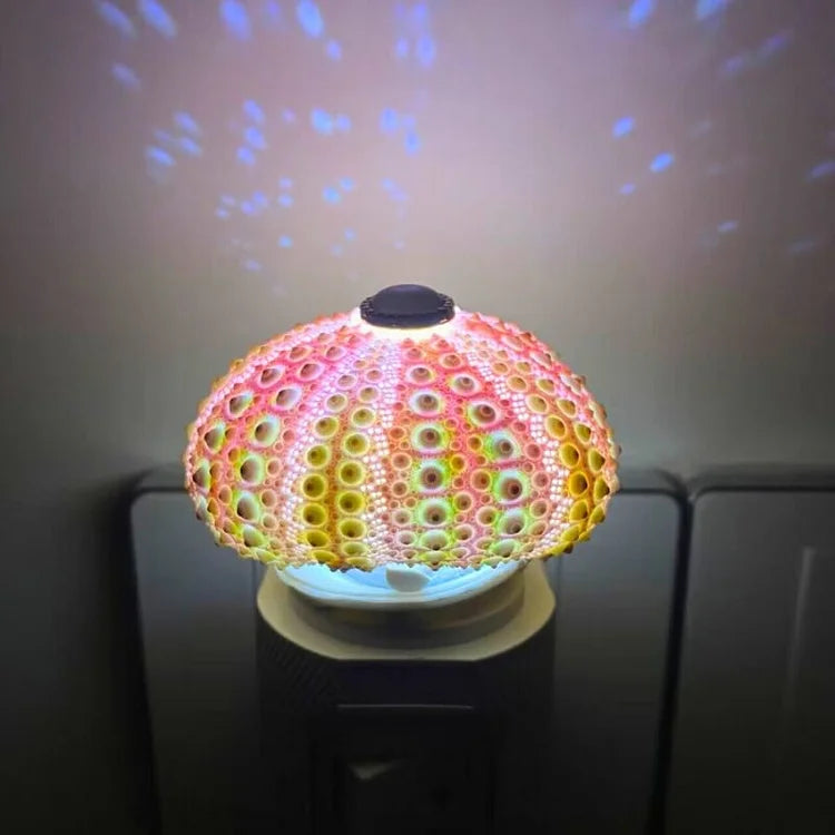 LumiCraft – Unikalna lampa stołowa DIY z naturalną muszlą dla przytulnej atmosfery