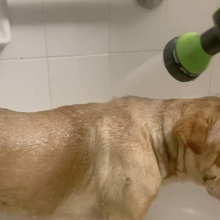 Wysokociśnieniowy wielofunkcyjny pistolet do spryskiwania | Karnz
