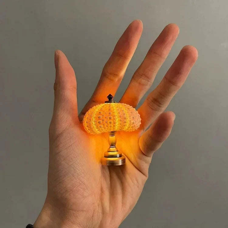 LumiCraft – Unikalna lampa stołowa DIY z naturalną muszlą dla przytulnej atmosfery