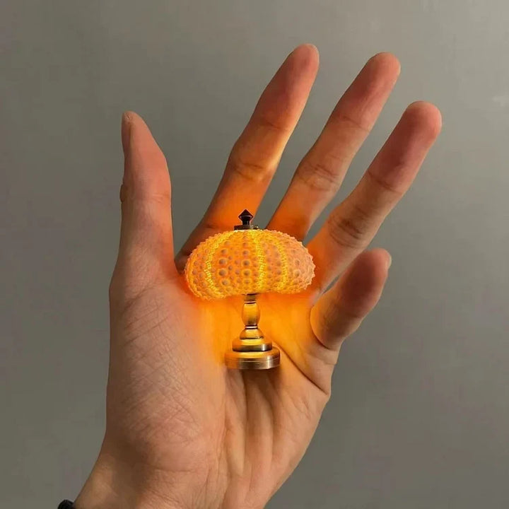 LumiCraft – Unikalna lampa stołowa DIY z naturalną muszlą dla przytulnej atmosfery