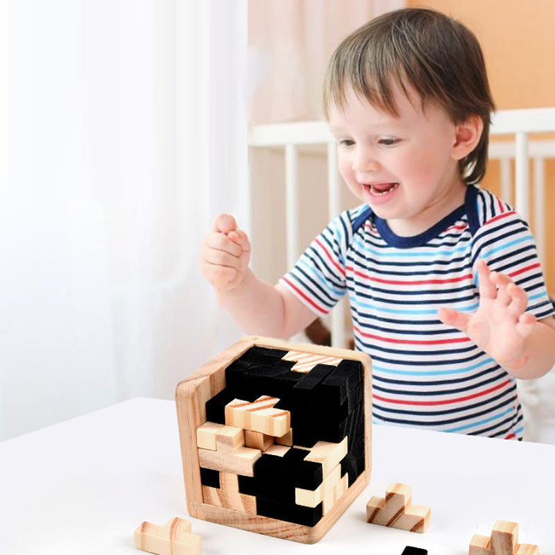 Drewniana gra logiczna Hölzernes Intelligenzspielzeug