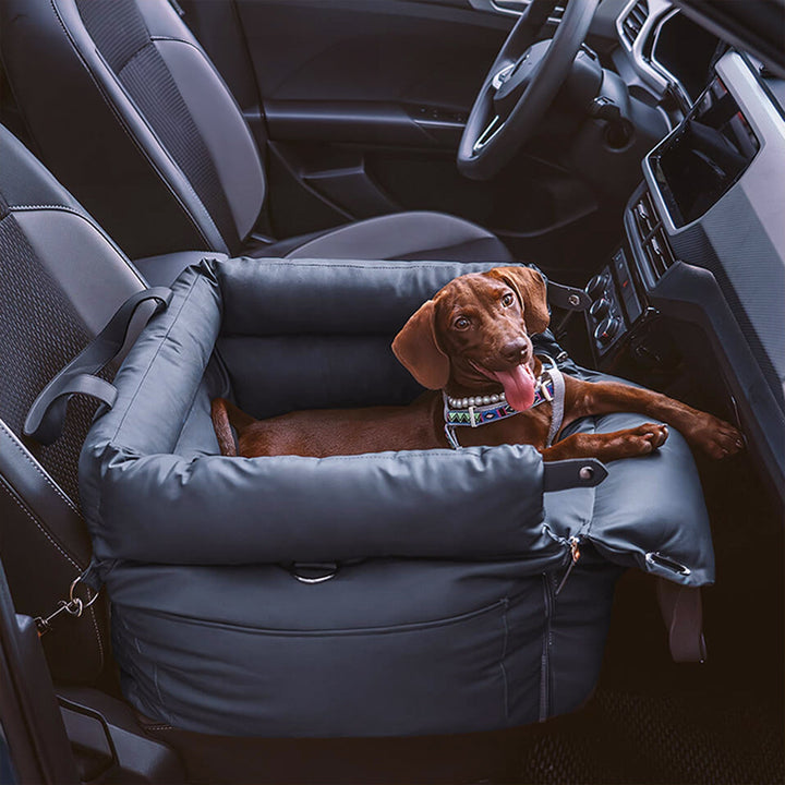 Faux-Leder Hunde Booster Bett – Stylowe, Bezpieczne i Wygodne | Karnz