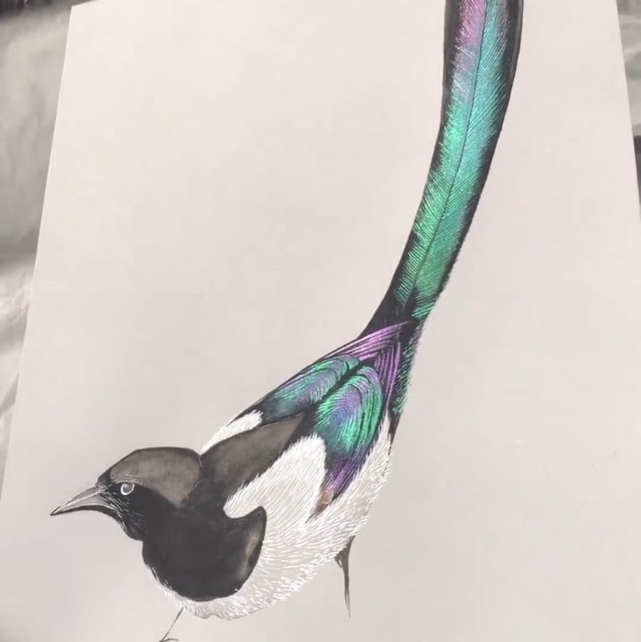💥 Wyprzedaż likwidacyjna 😍🎨 20 kolorów farb akwarelowych
