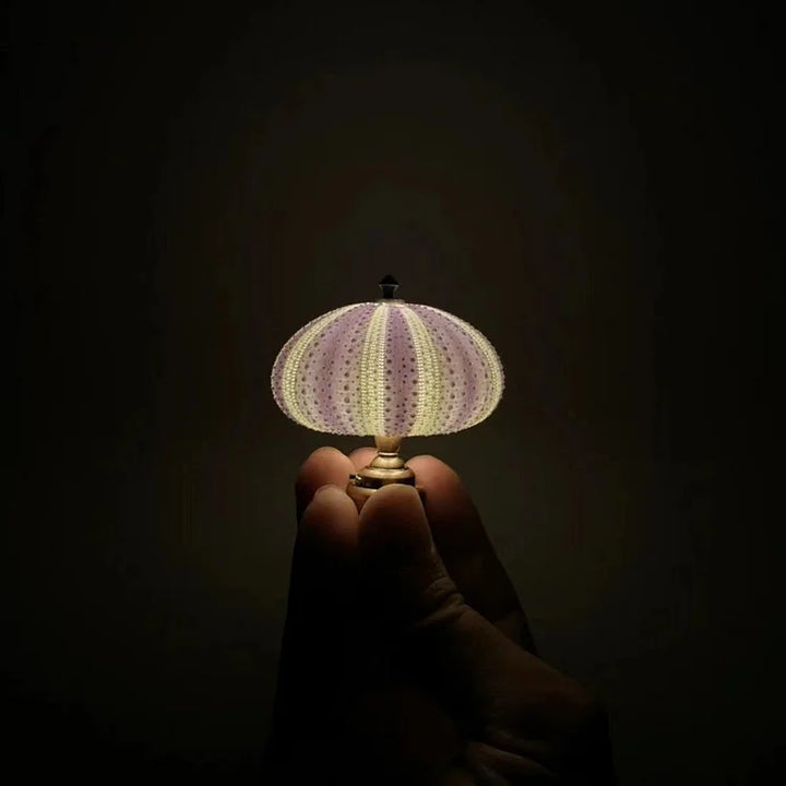 LumiCraft – Unikalna lampa stołowa DIY z naturalną muszlą dla przytulnej atmosfery