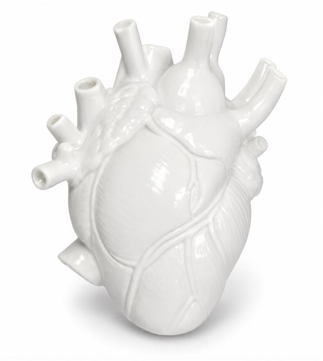 Anatomia Serce Ceramika