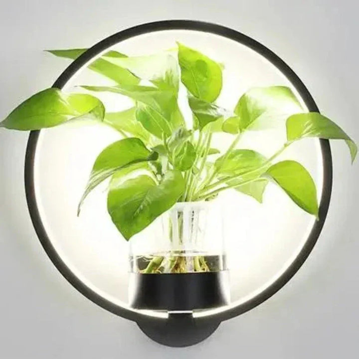 Lampa ścienna LED z wbudowaną rośliną – Designerskie lampy ścienne do wnętrz