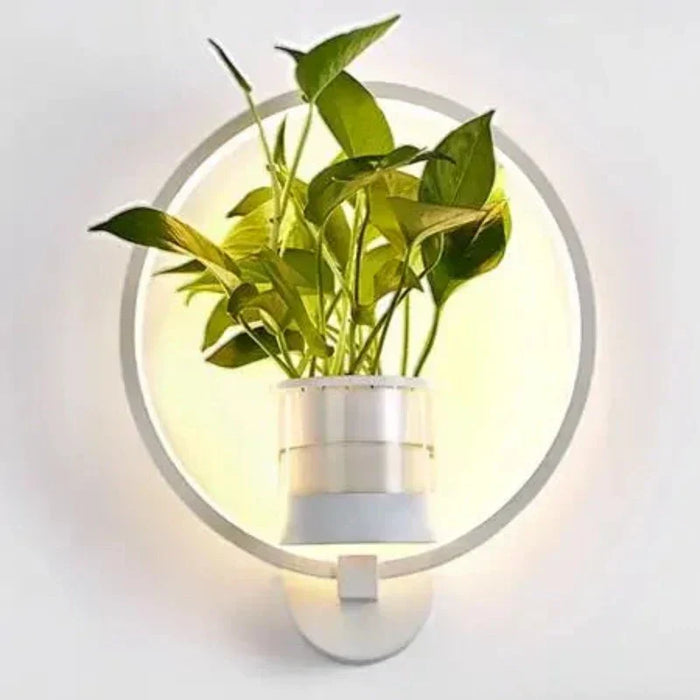 Lampa ścienna LED z wbudowaną rośliną – Designerskie lampy ścienne do wnętrz