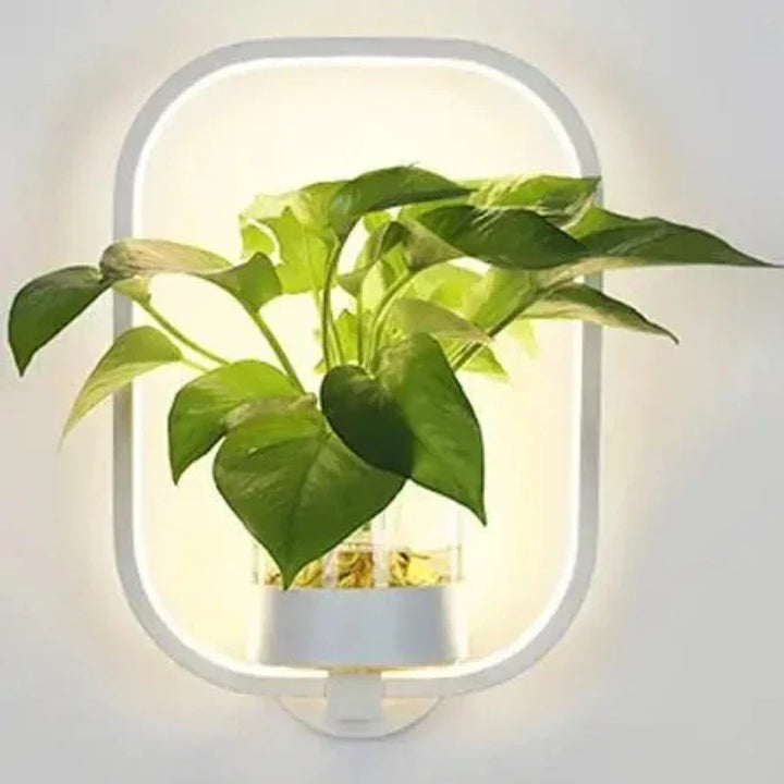 Lampa ścienna LED z wbudowaną rośliną – Designerskie lampy ścienne do wnętrz