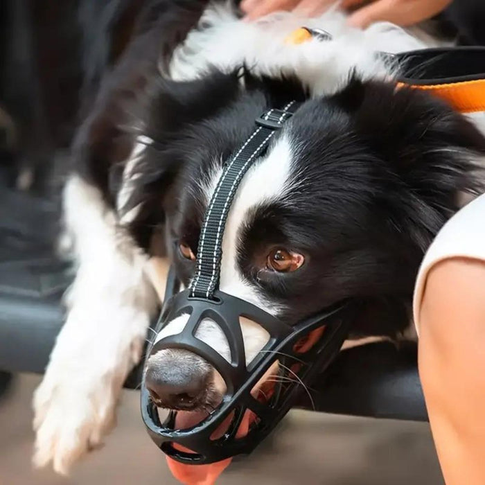 SafeBark Kaganiec dla psów – Skuteczne rozwiązanie przeciwko gryzieniu i szczekaniu, Oddychający i Wygodny | Karnz