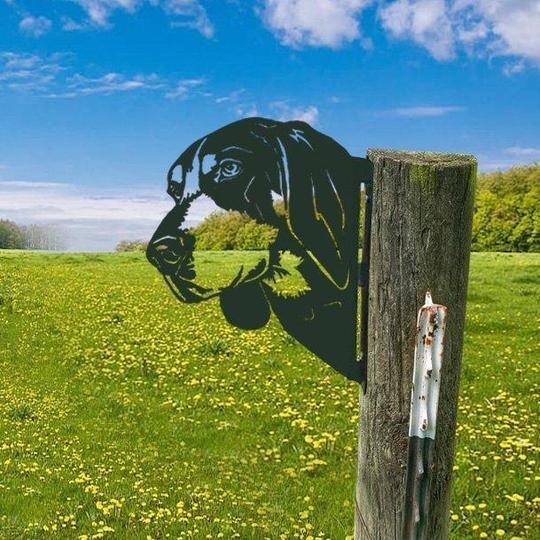 Zewnętrzna dekoracja ogrodowa - Metalowa sztuka kozy szpiegującej | Karnz