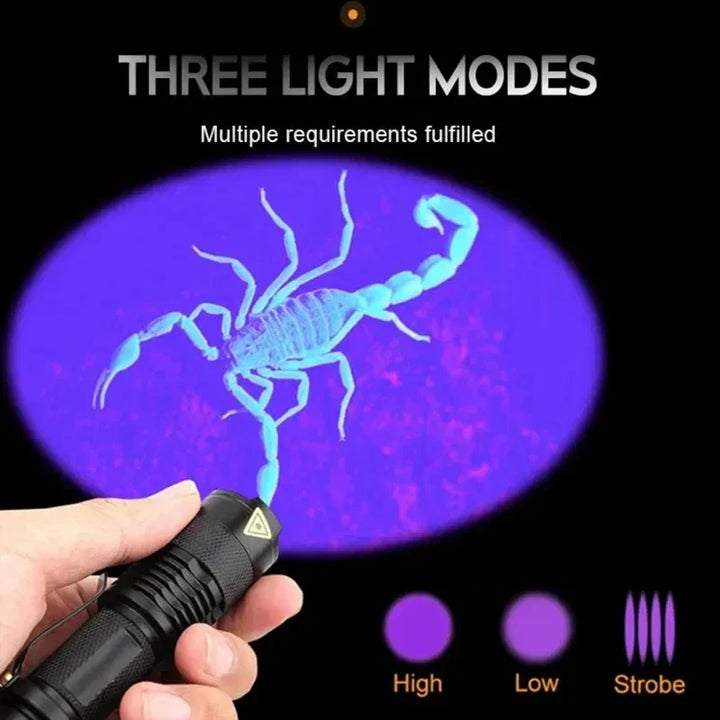 Latarka LED-UV – Ultrafioletowa lampa inspekcyjna do wykrywania moczu i plam zwierząt domowych