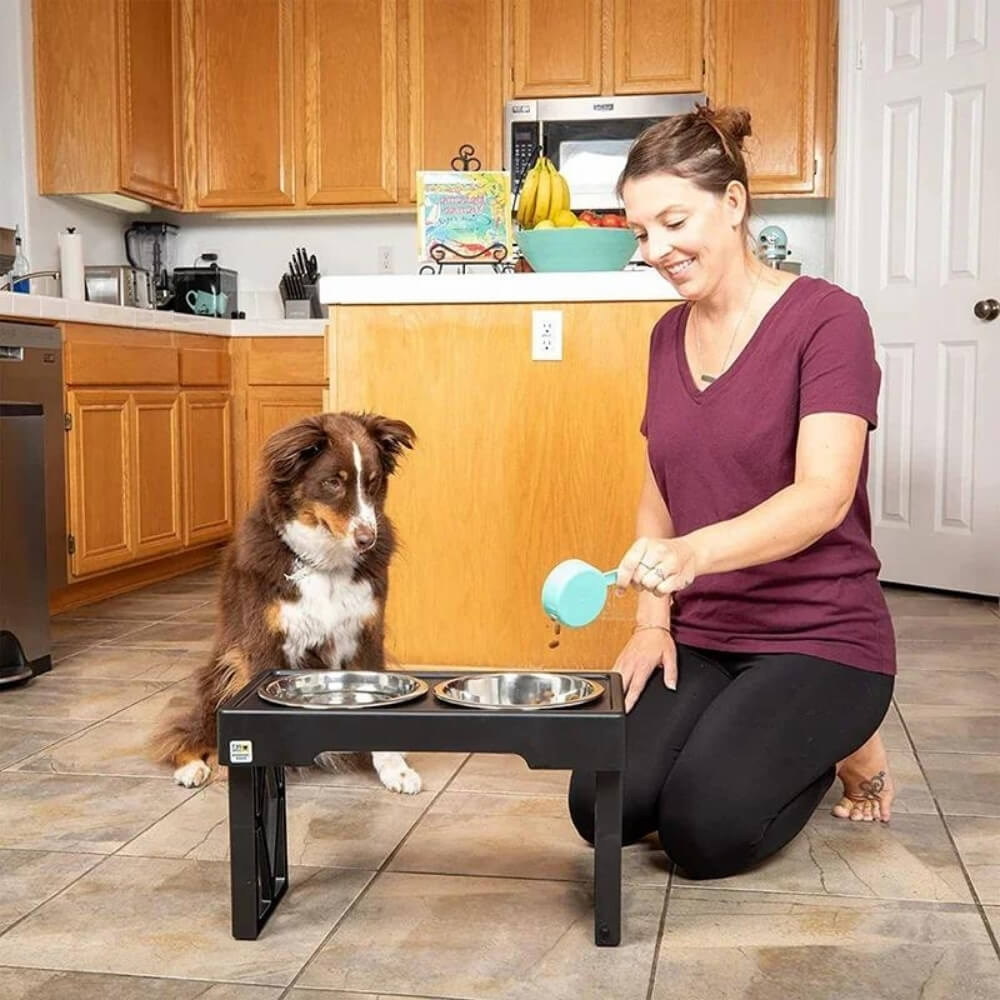 PupLift Podwyższona Miseczka dla Psów – Ergonomiczna i Wolne Karmienie dla Zdrowych Posiłków | Karnz