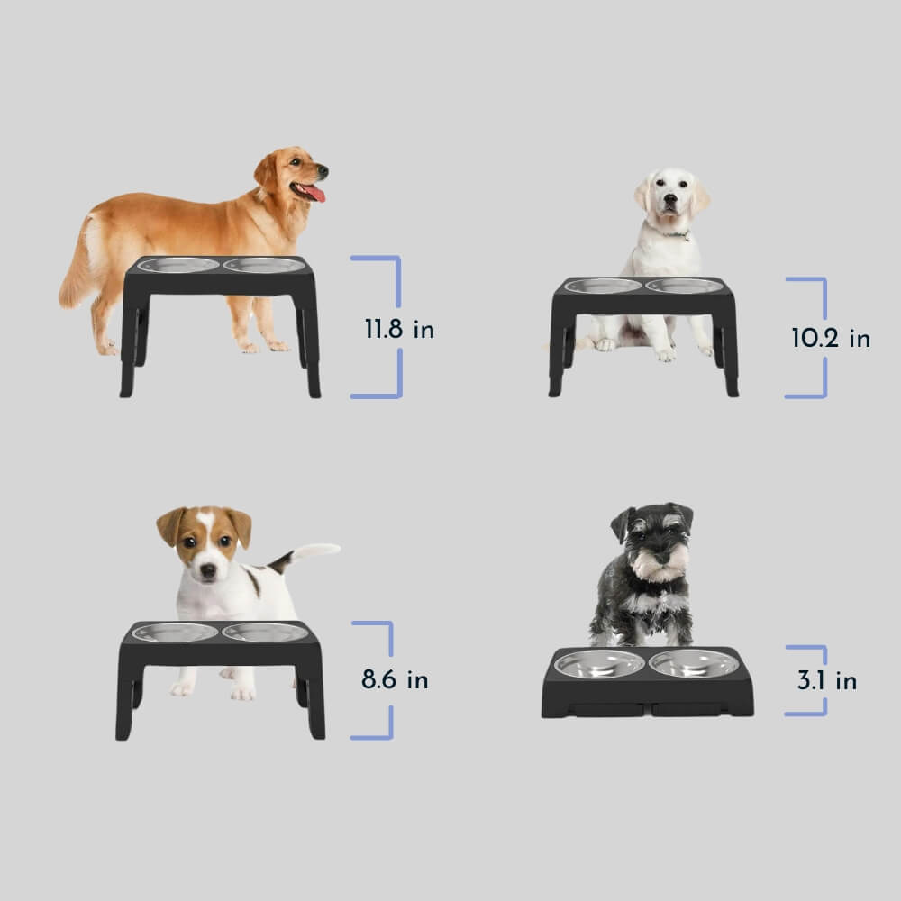 PupLift Podwyższona Miseczka dla Psów – Ergonomiczna i Wolne Karmienie dla Zdrowych Posiłków | Karnz